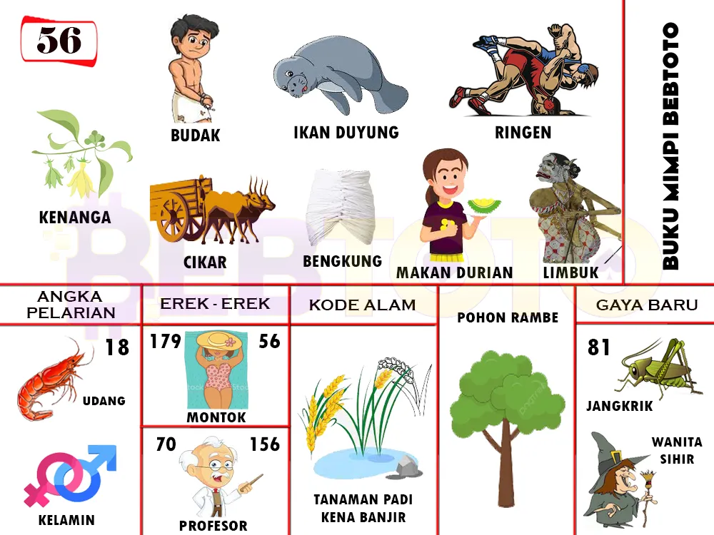 buku mimpi erek erek togel 56